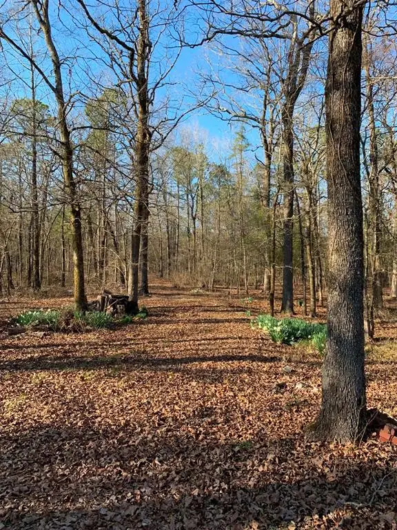 1251 Joe Hough Road, Broken Bow, OK 74728 - #3