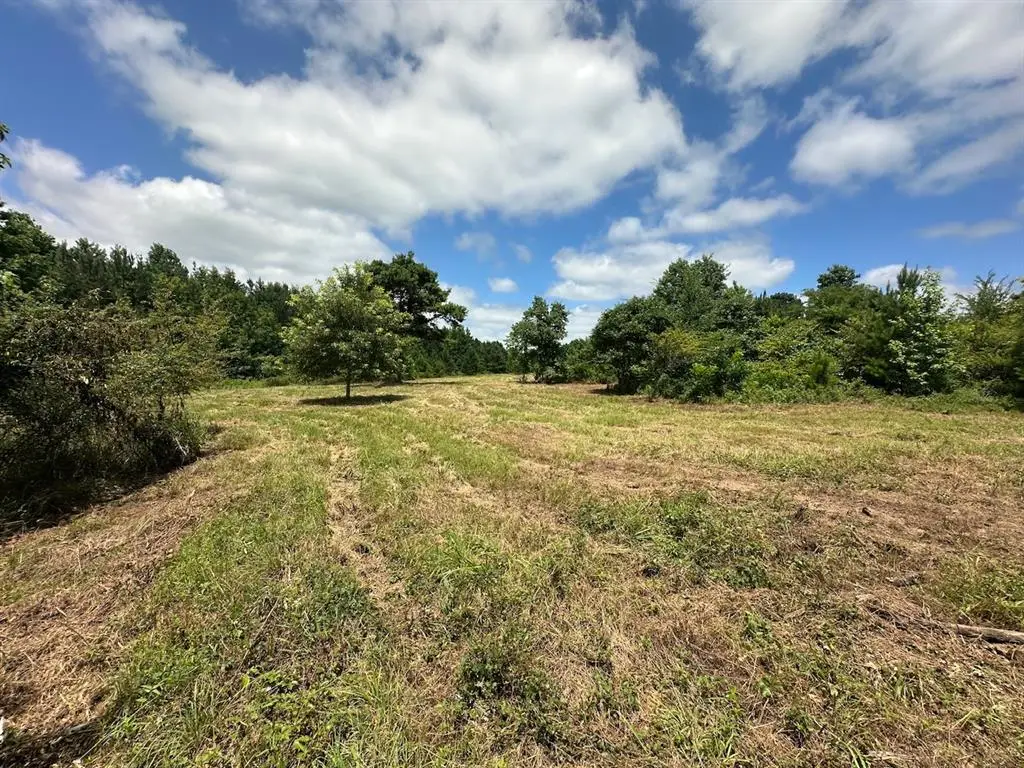 000 Tbd Butler Road Road, Haworth, OK 74740 - #1