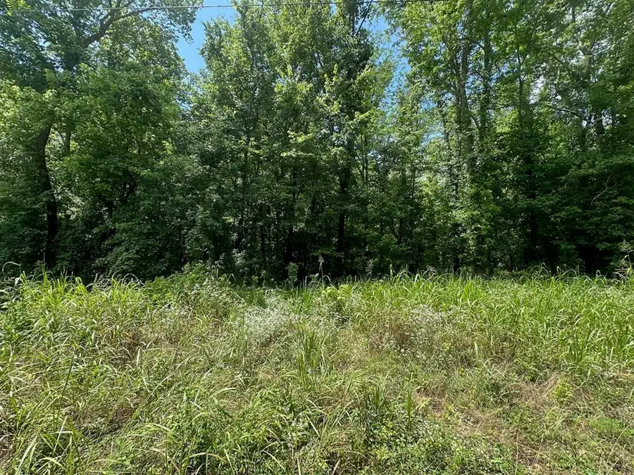 000 Tbd Butler Road Road, Haworth, OK 74740 - #3