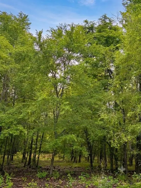 N Us-259 Highway, Broken Bow, OK 74728 - #2