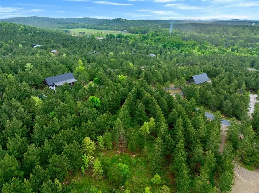 53 Pine Root Court, Broken Bow, OK 74728 - #3