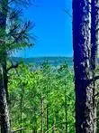48 N Wild Cherry Street, Broken Bow, OK 74728