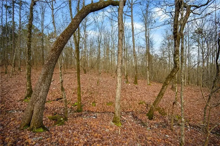45 Woodland Hills, Broken Bow, OK 74728 - #3