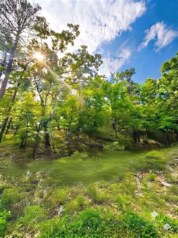 143 Western Cedar Trail, Broken Bow, OK 74728 - #2