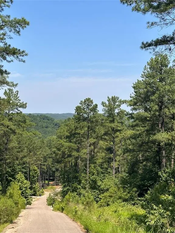 85 Green Apple Trail, Broken Bow, OK 74728 - #3