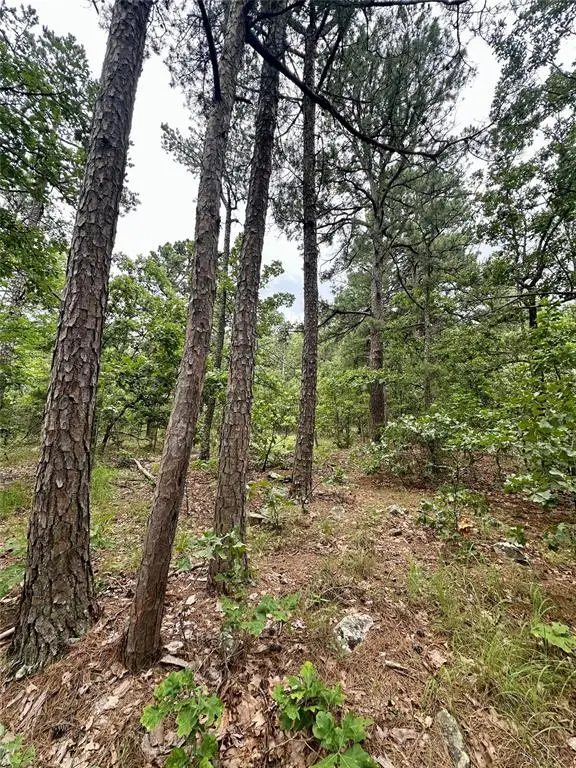 Address Withheld By Seller, Wilburton, OK 74578 - #2
