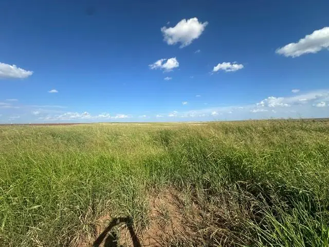 13500 N 2090 Road, Lone Wolf, OK 73655 - #1