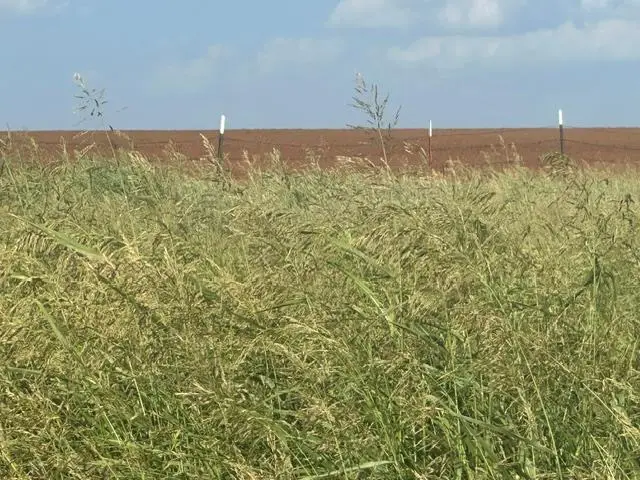 13500 N 2090 Road, Lone Wolf, OK 73655 - #2