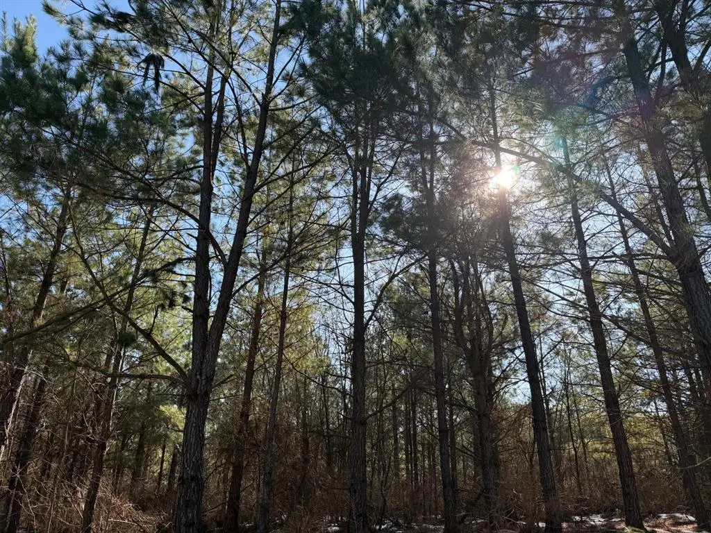 186 Twisted Elm Trail, Broken Bow, OK 74728 - #1