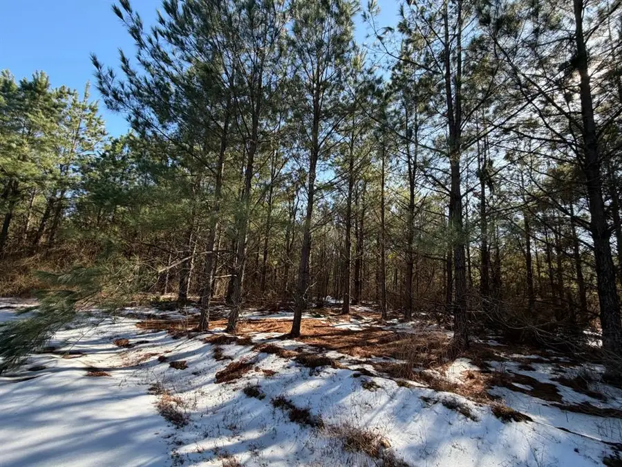 186 Twisted Elm Trail, Broken Bow, OK 74728 - #3