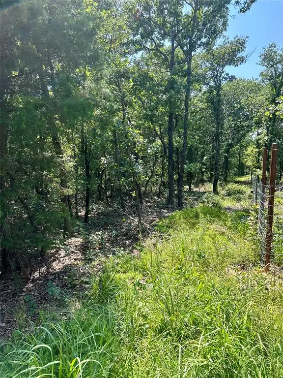 Twisted Oaks Rd Road, Lexington, OK 73051 - #3