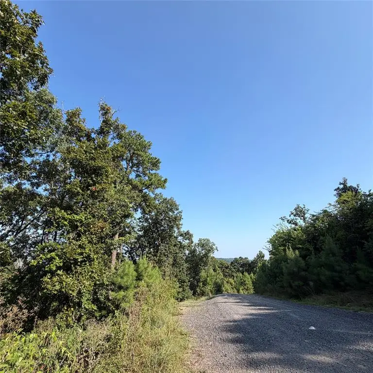 184 Vista Del Lago Trail #38, Broken Bow, OK 74728 - #3
