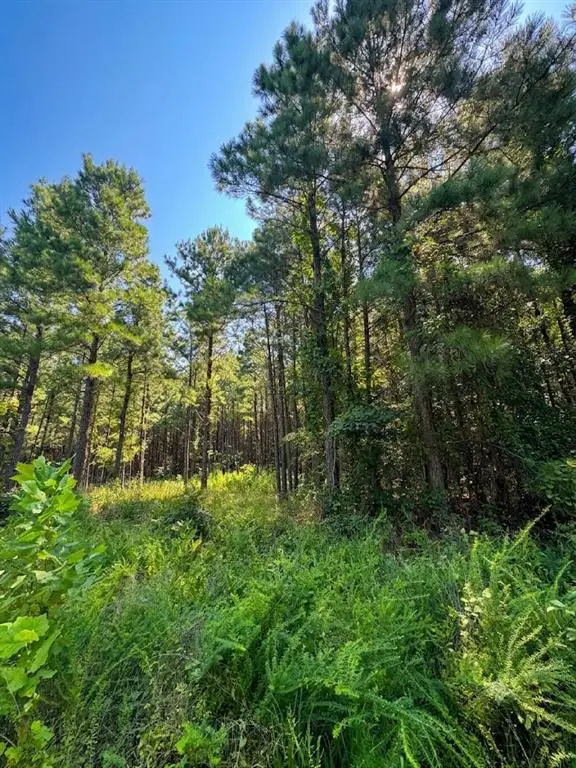 470 Creek Side Trail, Broken Bow, OK 74728 - #2