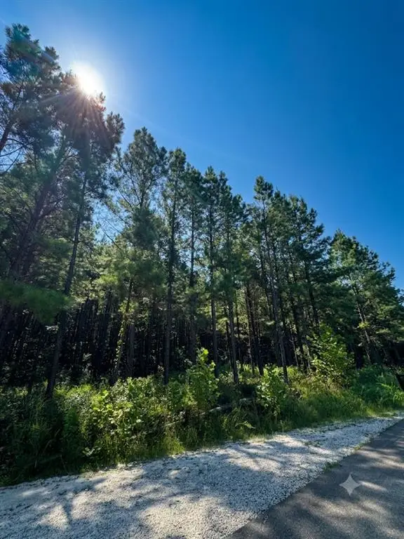 41 Creek Side Trail, Broken Bow, OK 74728