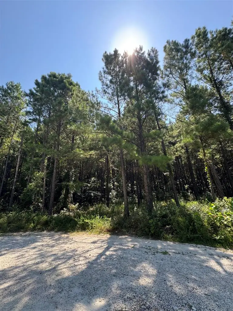 41 Creek Side Trail, Broken Bow, OK 74728 - #3