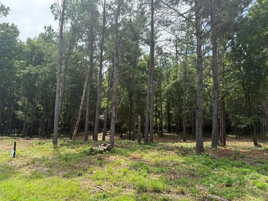 168 Cinnamon Teal Trail #Lot 79, Broken Bow, OK 74728 - #2
