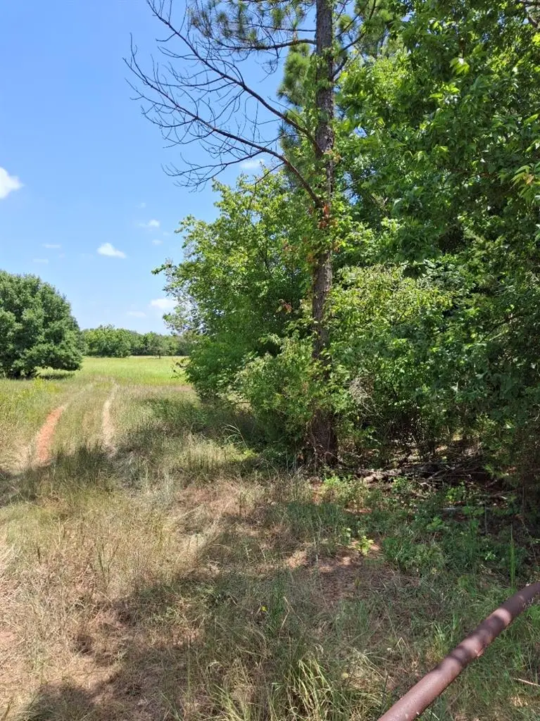 County Road 1460 Road, Ada, OK 74820 - #2