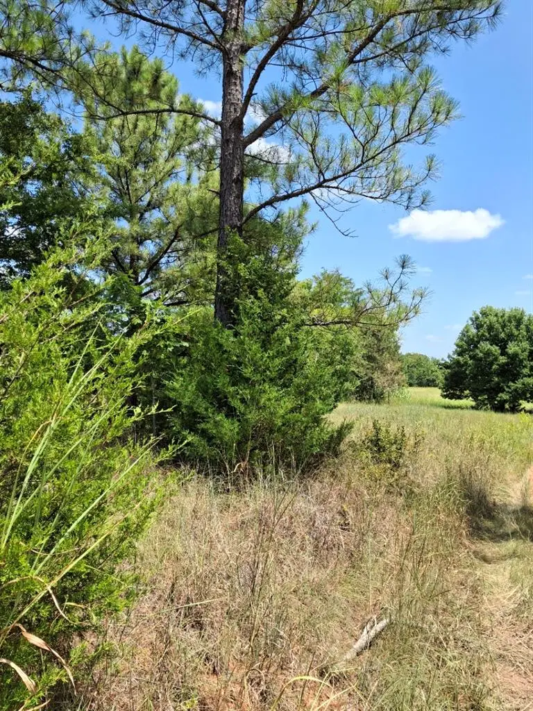 County Road 1460 Road, Ada, OK 74820 - #3