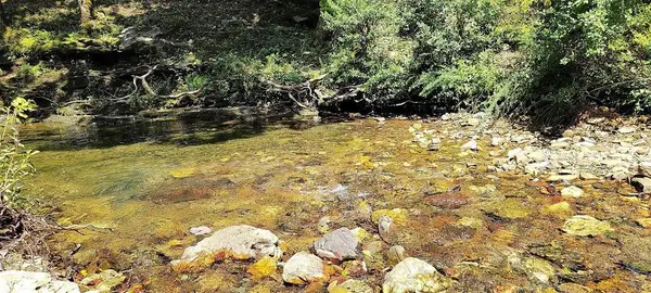 74 Creek Side Trail, Broken Bow, OK 74728