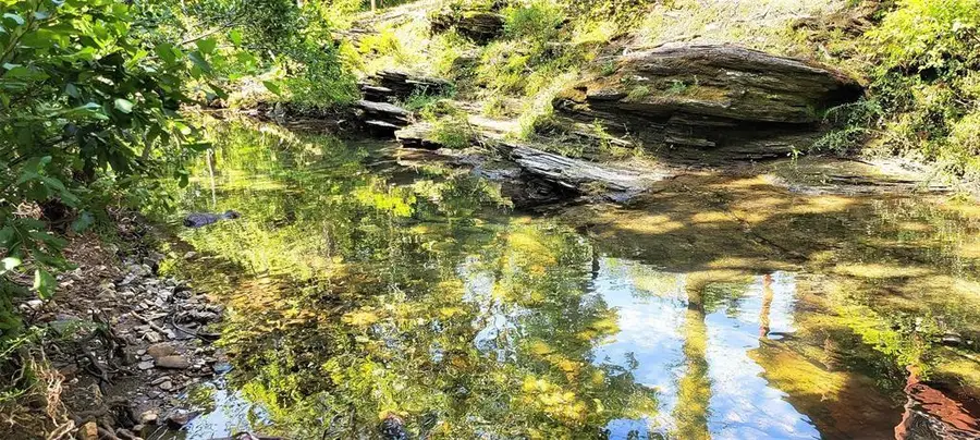 74 Creek Side Trail, Broken Bow, OK 74728 - #2