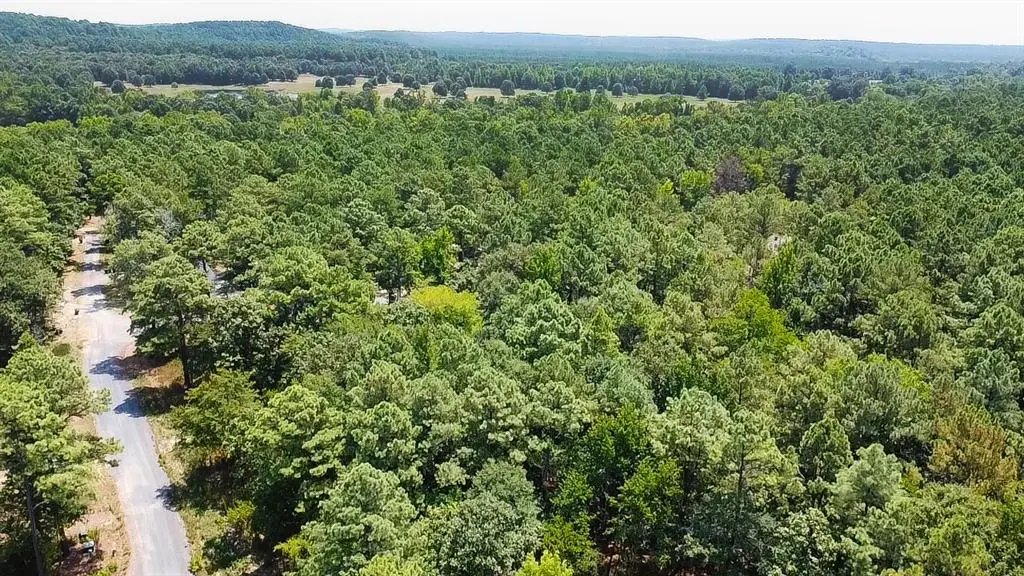 252 Split Paddle Lane, Broken Bow, OK 74728 - #1