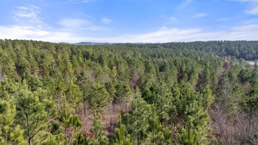 346 Kaisley Blue Eye Way, Broken Bow, OK 74728 - #3