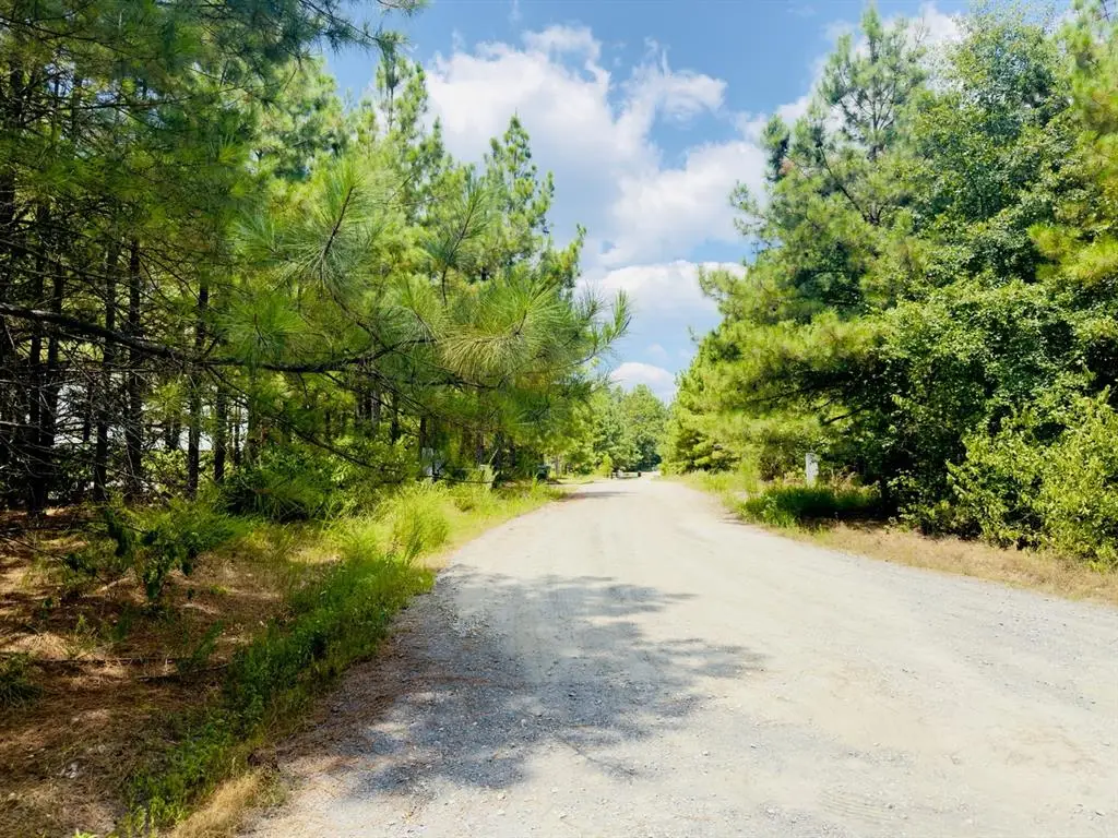 186 Twisted Elm Trail, Broken Bow, OK 74728 - #1