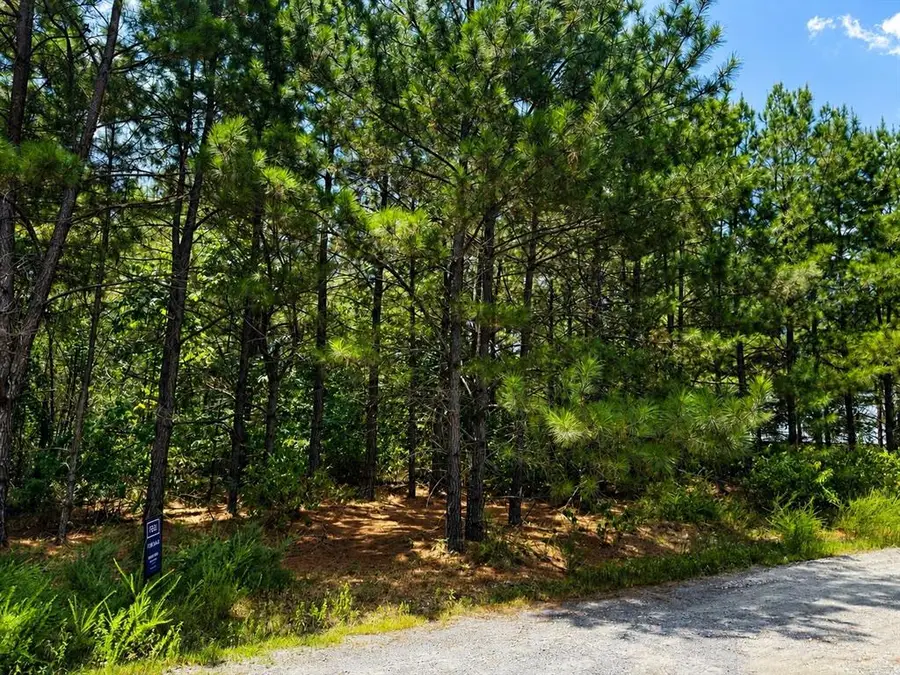 186 Twisted Elm Trail, Broken Bow, OK 74728 - #2