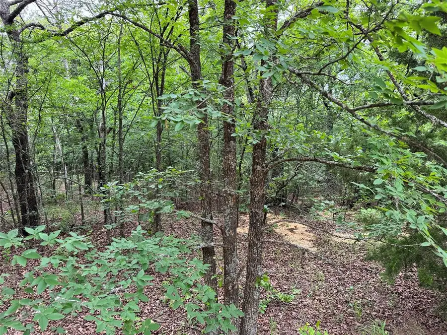 365 Road, Wewoka, OK 74884 - #2