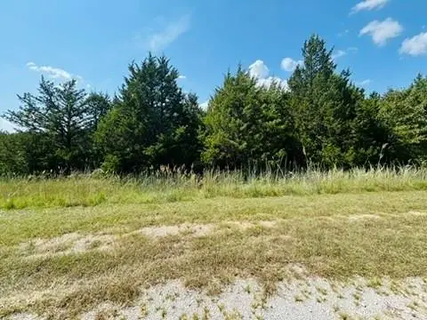 0 Jesse Place Place, Burneyville, OK 73430 - #2