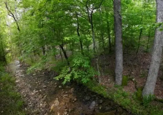118 Hidden Pines Loop, Broken Bow, OK 74728 - #2