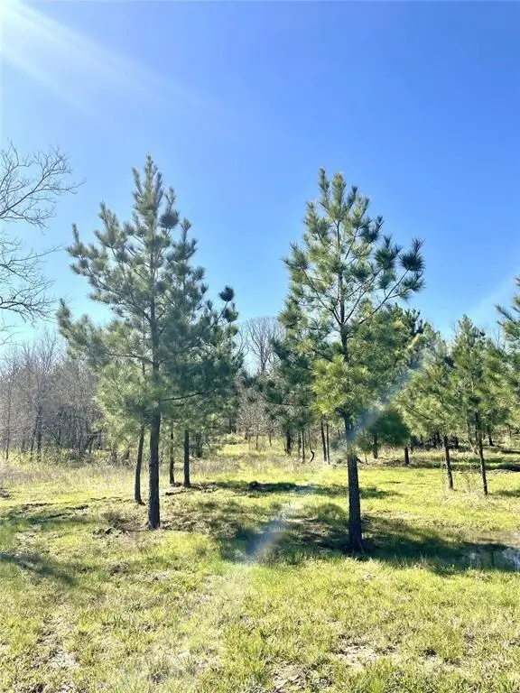 118 Hidden Pines Loop, Broken Bow, OK 74728 - #3