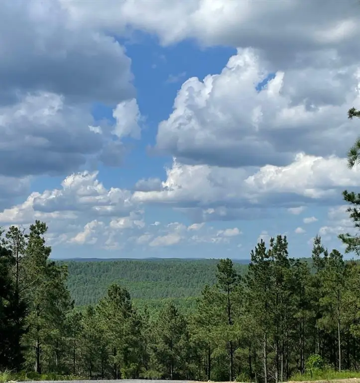 164 Timberline Trail, Broken Bow, OK 74728 - #1