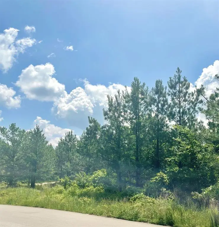 364 Sugarberry Trail, Broken Bow, OK 74728 - #3