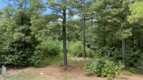 179 Coffee Tree Trail, Broken Bow, OK 74728