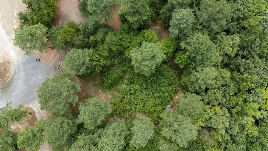 179 Coffee Tree Trail, Broken Bow, OK 74728 - #3