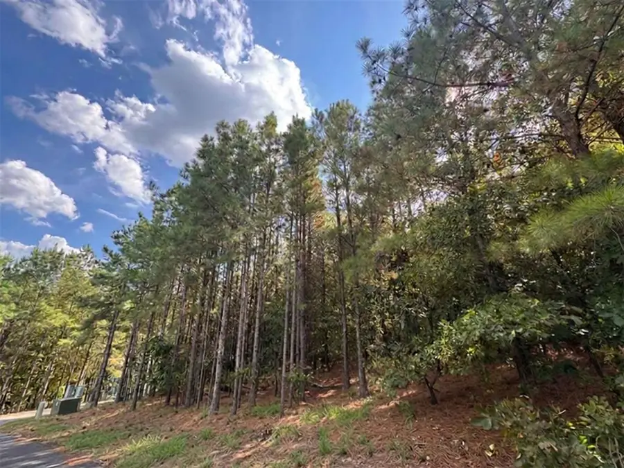 131 S Spruce Trail, Broken Bow, OK 74728 - #3