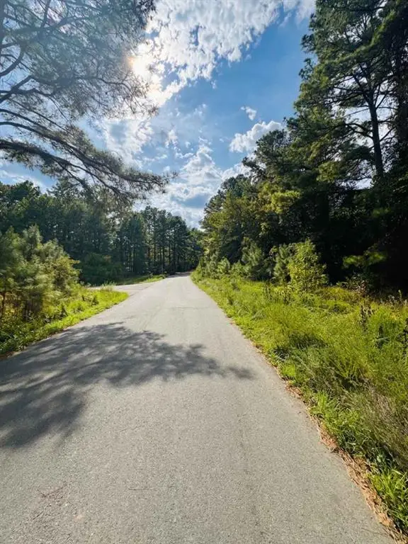 1238 Pine Hills Road, Broken Bow, OK 74728 - #2