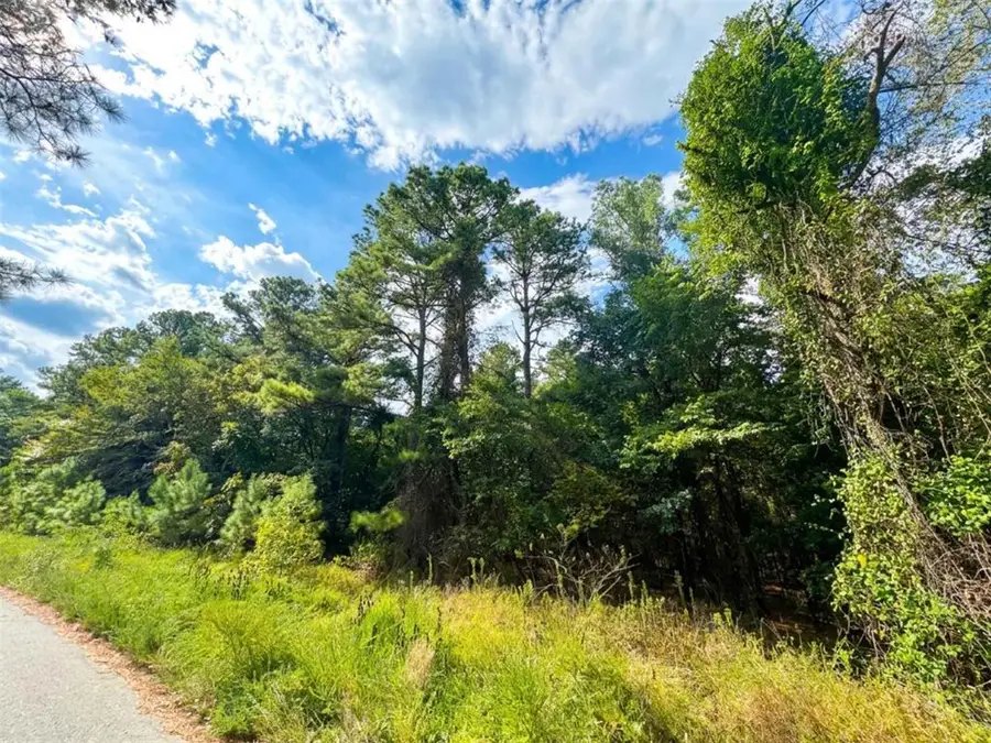 1238 Pine Hills Road, Broken Bow, OK 74728 - #3