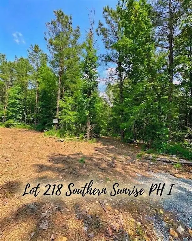 122 Southern Locust Trail, Broken Bow, OK 74728 - #1