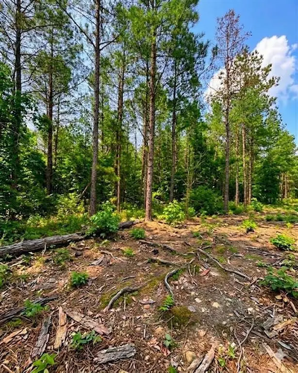 122 Southern Locust Trail, Broken Bow, OK 74728 - #2