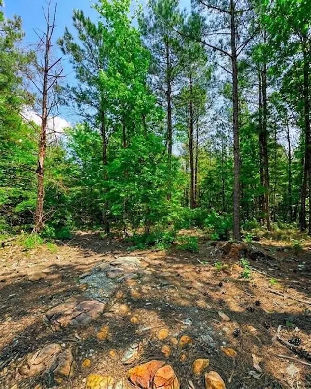 122 Southern Locust Trail, Broken Bow, OK 74728 - #3