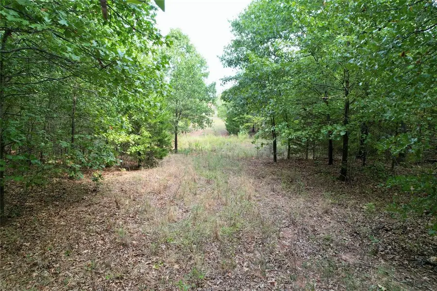 7675 Peaceful Oaks Lane, Macomb, OK 74852 - #2