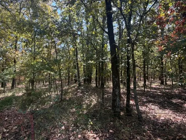 12593 S Crystal Cemetery Road, Lane, OK 74555 - #1