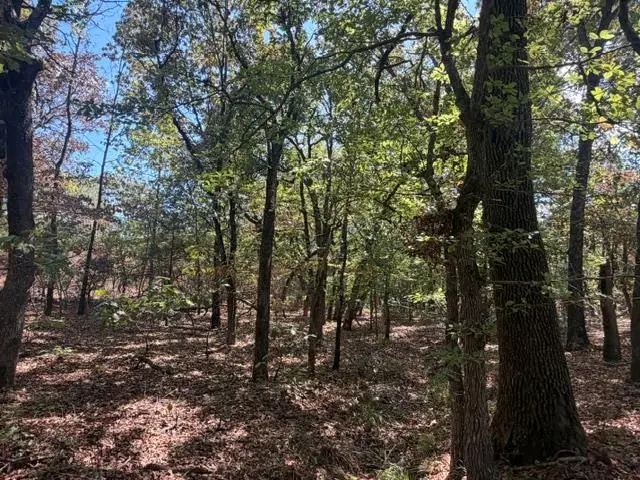 12593 S Crystal Cemetery Road, Lane, OK 74555 - #3