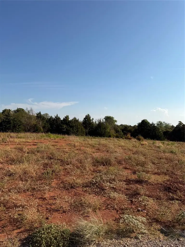 S Morgan Road, Blanchard, OK 73010 - #3