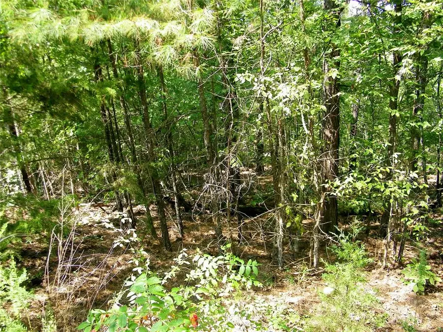Hee Creek, Smithville, OK 74957 - #2