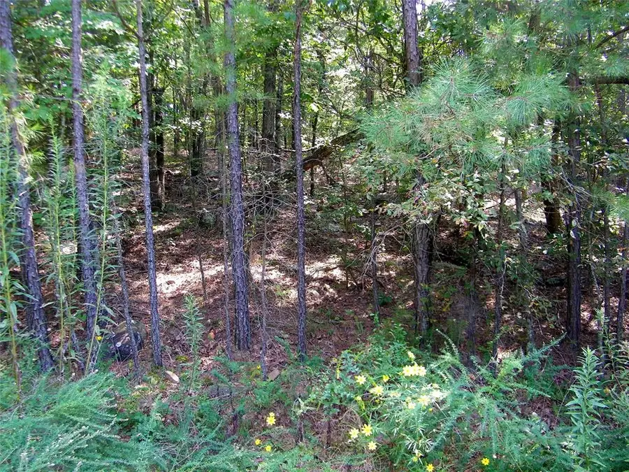 Hee Creek, Smithville, OK 74957 - #3