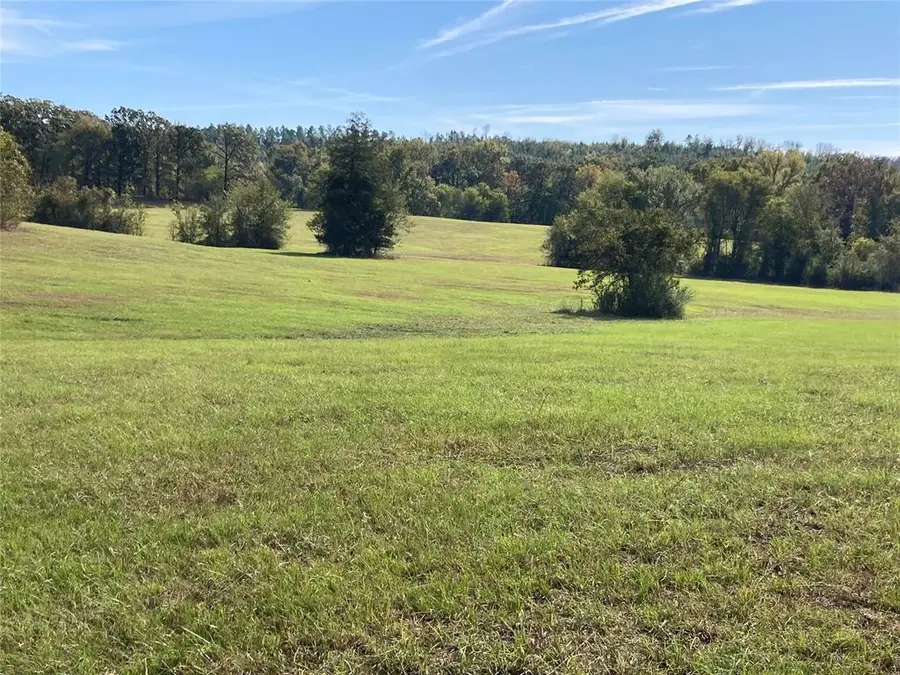 901 Sycamore Bend Loop, Broken Bow, OK 74728 - #2