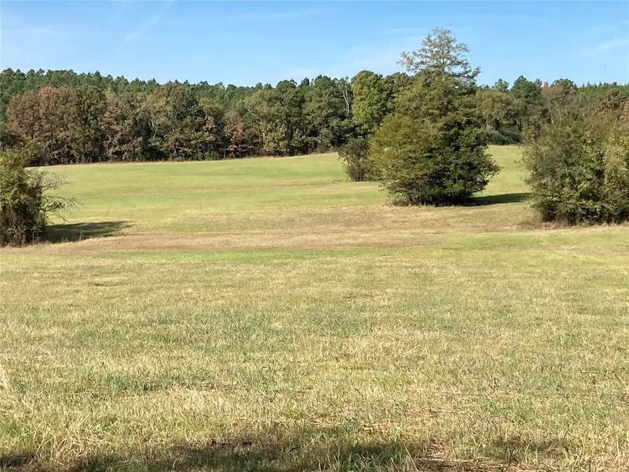 901 Sycamore Bend Loop, Broken Bow, OK 74728 - #3